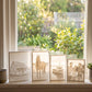 A row of 3D Moments of different subjects glowing on a windowsill