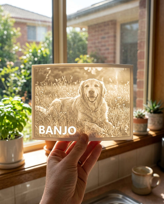 Memorial 3D Moment lithophane of a golden retriever named Banjo glowing in a sunlit window
