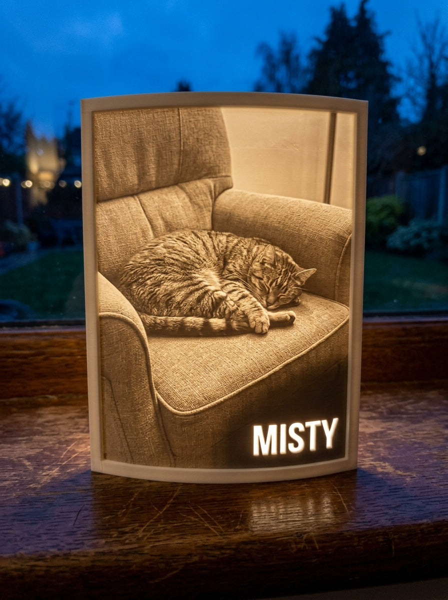 Memorial 3D Moment example - Misty the cat glowing at dusk