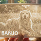 Memorial 3D Moment lifted into the window light